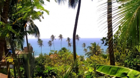Coconut Hill House